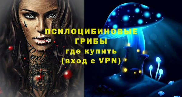 трава Армянск