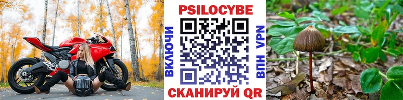 Псилоцибиновые грибы Magic Shrooms  Купить  Бийск 